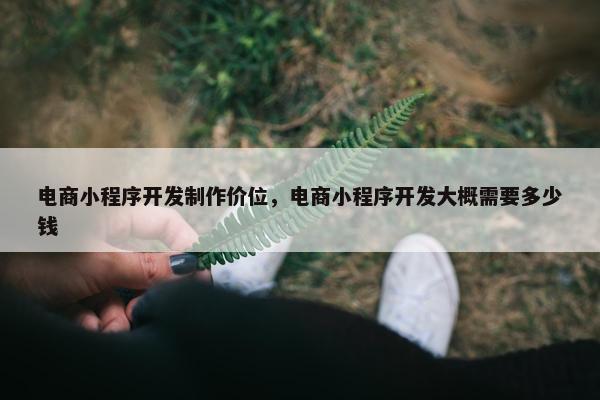 电商小程序开发制作价位,电商小程序开发大概需要多少钱 电商小程序开发制作价位,电商小程序开发大概需要多少钱
