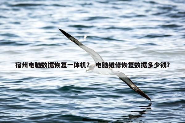 宿州电脑数据恢复一体机？ 电脑维修恢复数据多少钱？