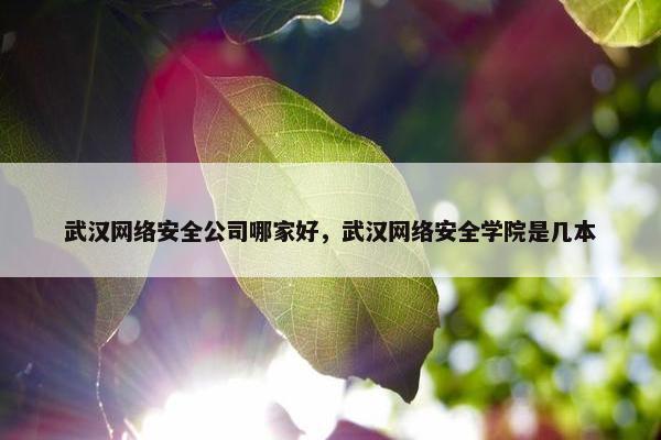 武汉网络安全公司哪家好，武汉网络安全学院是几本