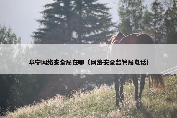 阜宁网络安全局在哪（网络安全监管局电话）