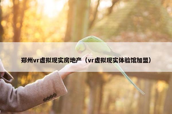 郑州vr虚拟现实房地产（vr虚拟现实体验馆加盟）