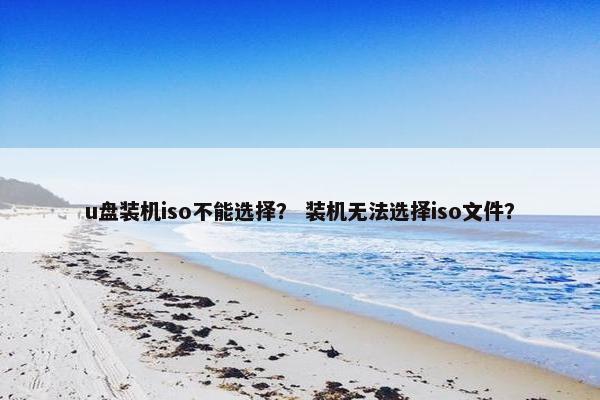 u盘装机iso不能选择? 装机无法选择iso文件? u盘装机iso不能选择? 装机无法选择iso文件?