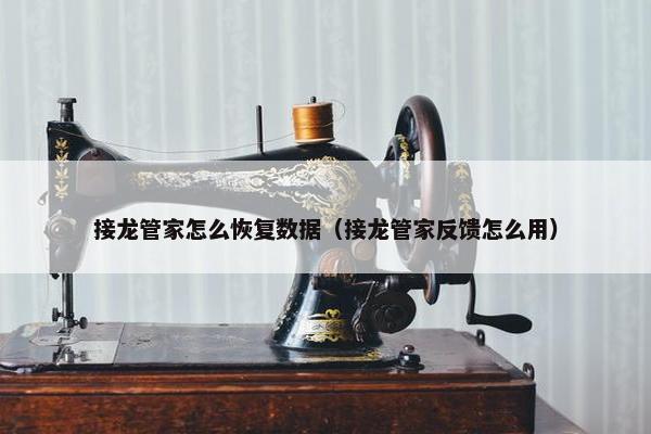 接龙管家怎么恢复数据（接龙管家反馈怎么用）