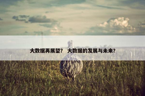 大数据再展望? 大数据的发展与未来? 大数据再展望? 大数据的发展与未来?