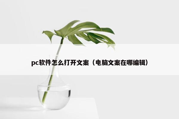 pc软件怎么打开文案（电脑文案在哪编辑）