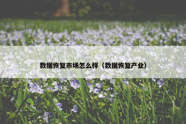 数据恢复市场怎么样(数据恢复产业) 数据恢复市场怎么样(数据恢复产业)