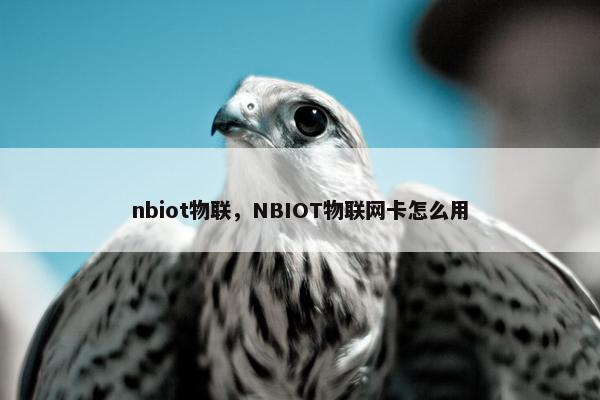 nbiot物联，NBIOT物联网卡怎么用