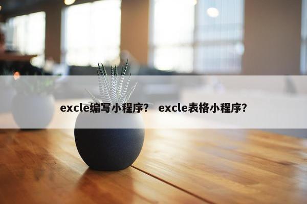 excle编写小程序？ excle表格小程序？