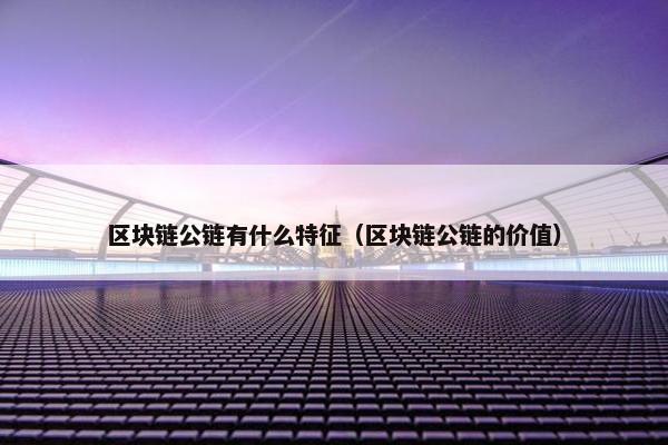 区块链公链有什么特征（区块链公链的价值）