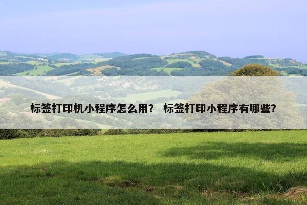 标签打印机小程序怎么用？ 标签打印小程序有哪些？