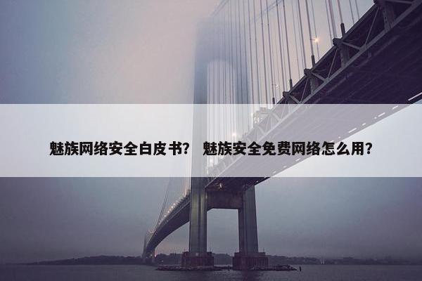 魅族网络安全白皮书？ 魅族安全免费网络怎么用？