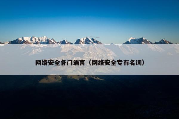 网络安全各门语言（网络安全专有名词）