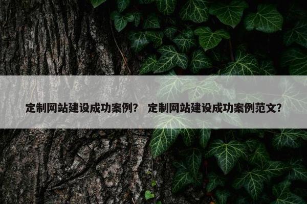 定制网站建设成功案例？ 定制网站建设成功案例范文？