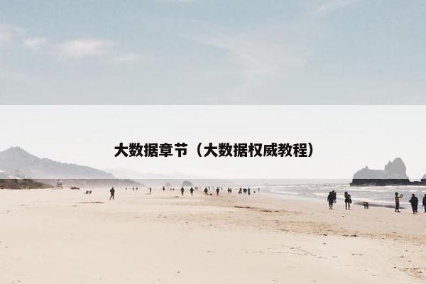 大数据章节（大数据权威教程）