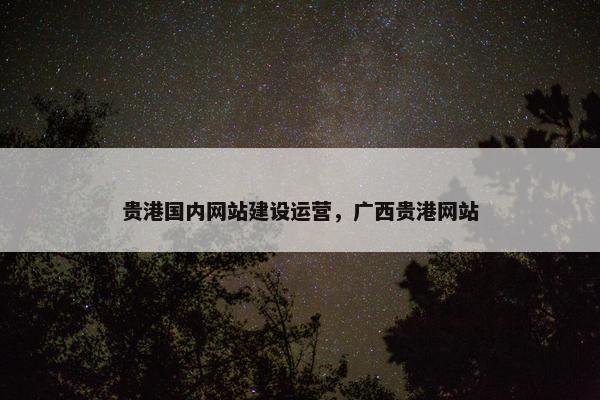 贵港国内网站建设运营，广西贵港网站