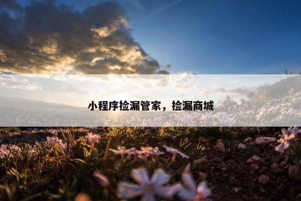 小程序捡漏管家,捡漏商城 小程序捡漏管家,捡漏商城