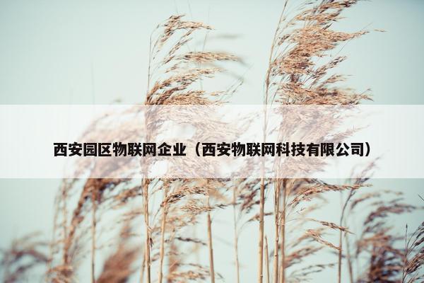西安园区物联网企业（西安物联网科技有限公司）