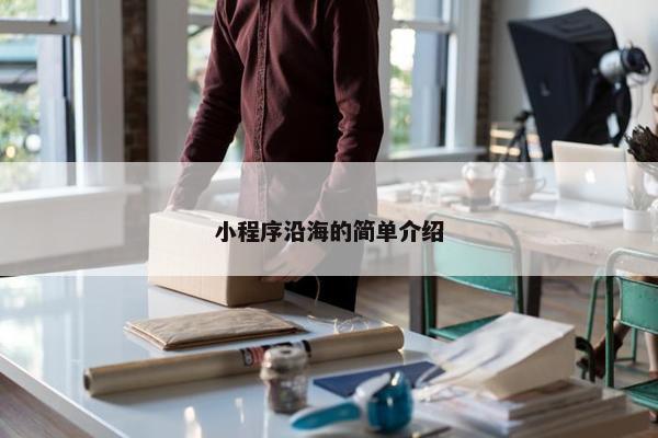 小程序沿海的简单介绍