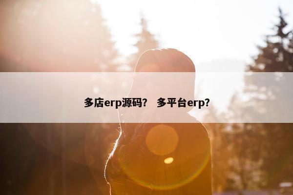 多店erp源码? 多平台erp? 多店erp源码? 多平台erp?