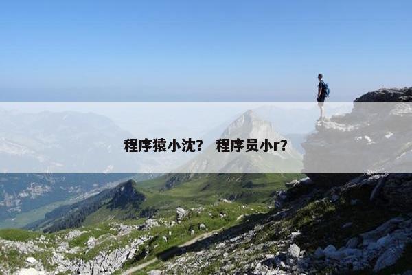 程序猿小沈？ 程序员小r？