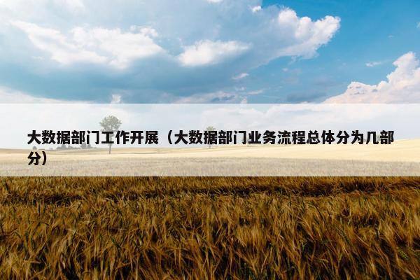 大数据部门工作开展（大数据部门业务流程总体分为几部分）