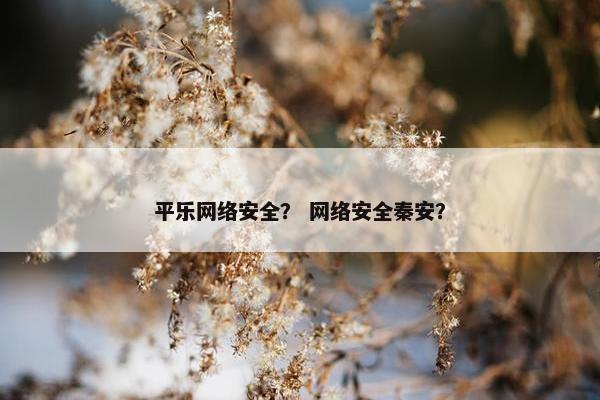 平乐网络安全？ 网络安全秦安？
