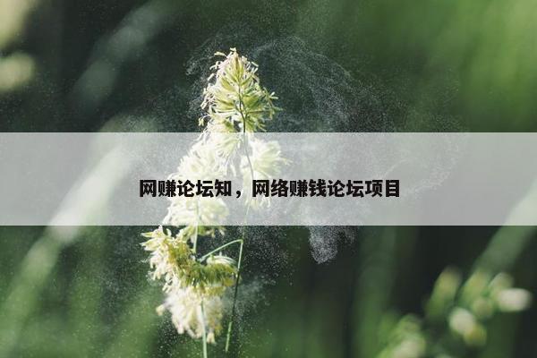 网赚论坛知，网络赚钱论坛项目