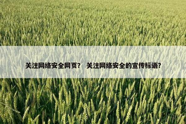 关注网络安全网页？ 关注网络安全的宣传标语？