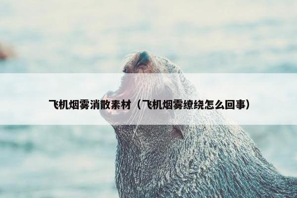 飞机烟雾消散素材(飞机烟雾缭绕怎么回事) 飞机烟雾消散素材(飞机烟雾缭绕怎么回事)