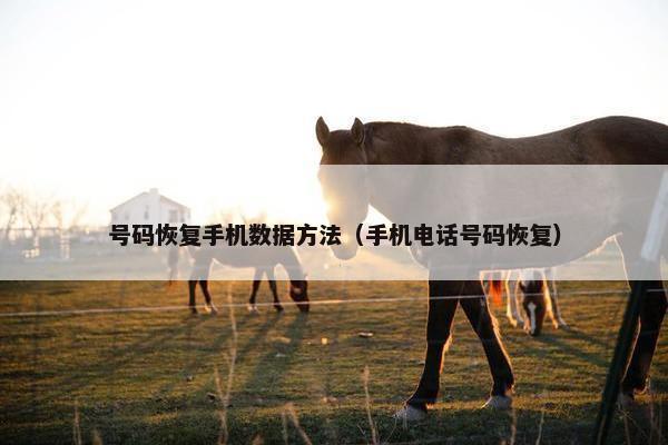 号码恢复手机数据方法（手机电话号码恢复）