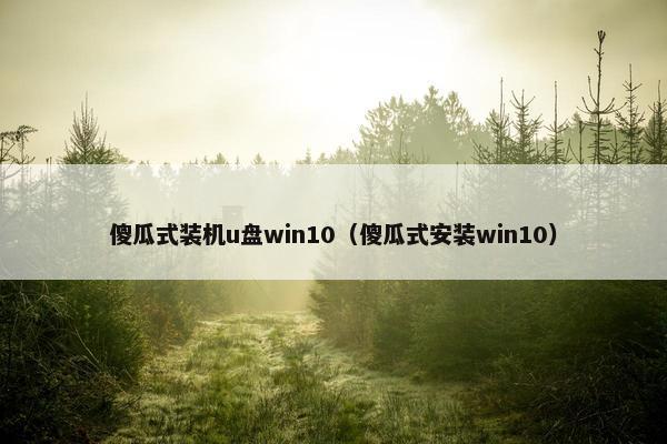 傻瓜式装机u盘win10(傻瓜式安装win10) 傻瓜式装机u盘win10(傻瓜式安装win10)
