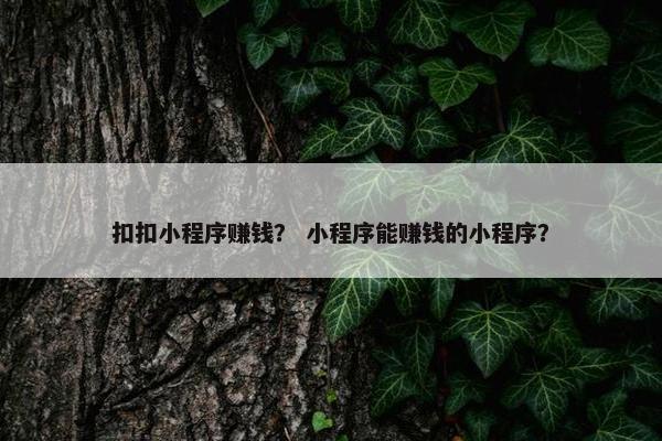 扣扣小程序赚钱？ 小程序能赚钱的小程序？