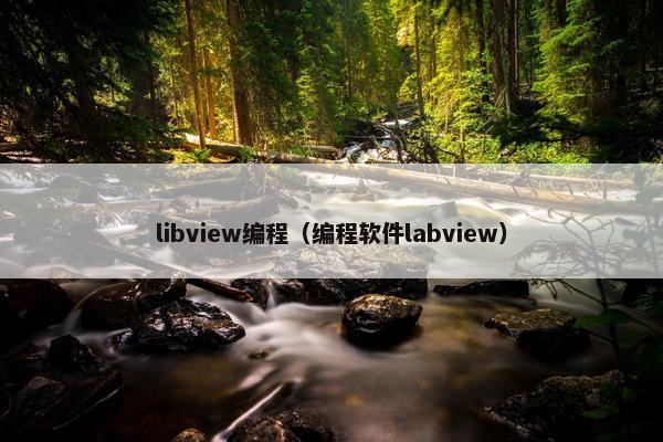 libview编程(编程软件labview) libview编程(编程软件labview)