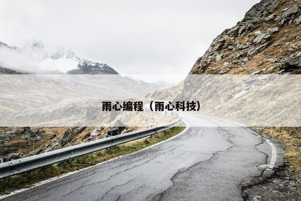 雨心编程（雨心科技）