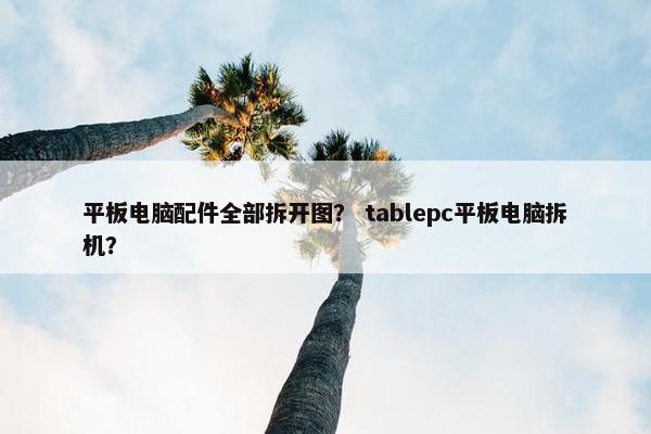 平板电脑配件全部拆开图？ tablepc平板电脑拆机？
