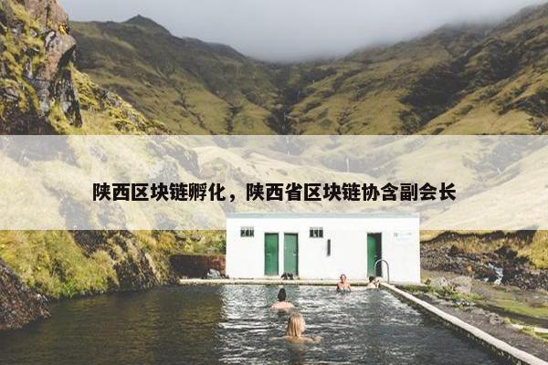 陕西区块链孵化,陕西省区块链协含副会长 陕西区块链孵化,陕西省区块链协含副会长