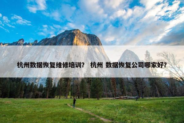 杭州数据恢复维修培训？ 杭州 数据恢复公司哪家好？