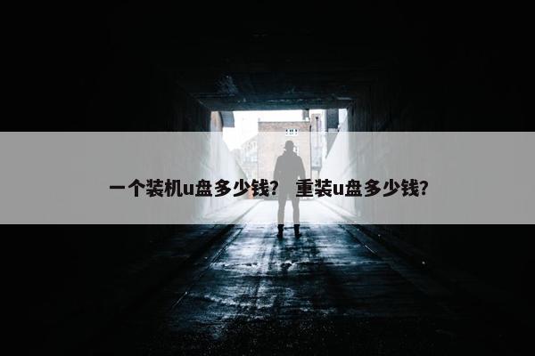 一个装机u盘多少钱？ 重装u盘多少钱？