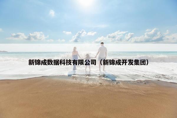 新锦成数据科技有限公司（新锦成开发集团）