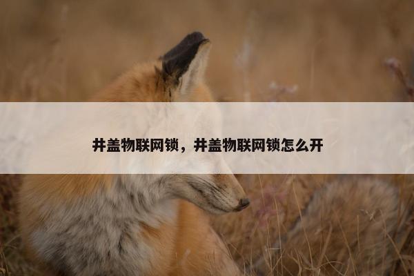 井盖物联网锁，井盖物联网锁怎么开