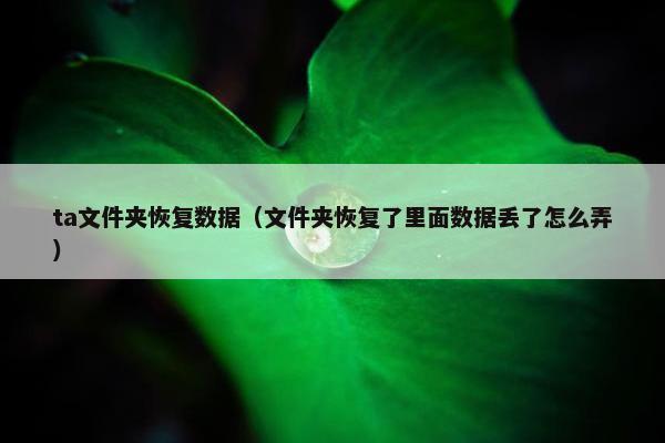 ta文件夹恢复数据(文件夹恢复了里面数据丢了怎么弄) ta文件夹恢复数据(文件夹恢复了里面数据丢了怎么弄)