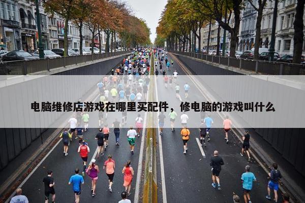 电脑维修店游戏在哪里买配件，修电脑的游戏叫什么