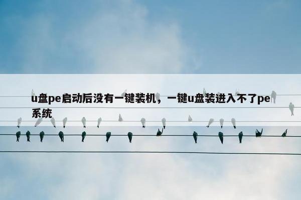 u盘pe启动后没有一键装机,一键u盘装进入不了pe系统 u盘pe启动后没有一键装机,一键u盘装进入不了pe系统