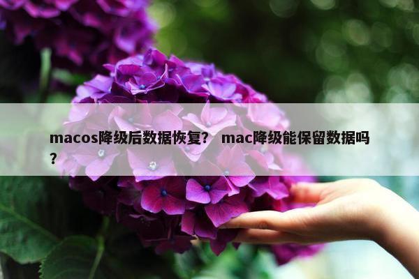 macos降级后数据恢复？ mac降级能保留数据吗？