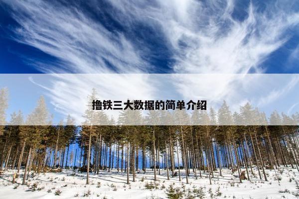 撸铁三大数据的简单介绍