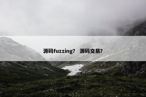 源码fuzzing？ 源码交易？