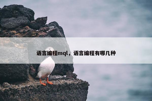语言编程mql，语言编程有哪几种
