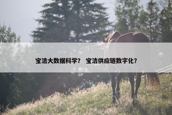 宝洁大数据科学? 宝洁供应链数字化? 宝洁大数据科学? 宝洁供应链数字化?