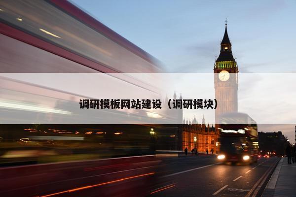 调研模板网站建设（调研模块）