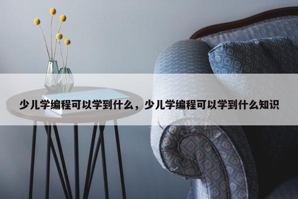 少儿学编程可以学到什么，少儿学编程可以学到什么知识